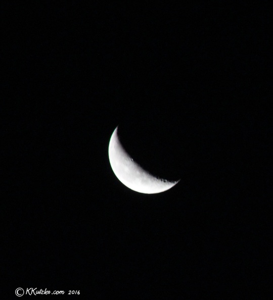Quarter Moon
11-23-2016 20161123_1762_1.jpg