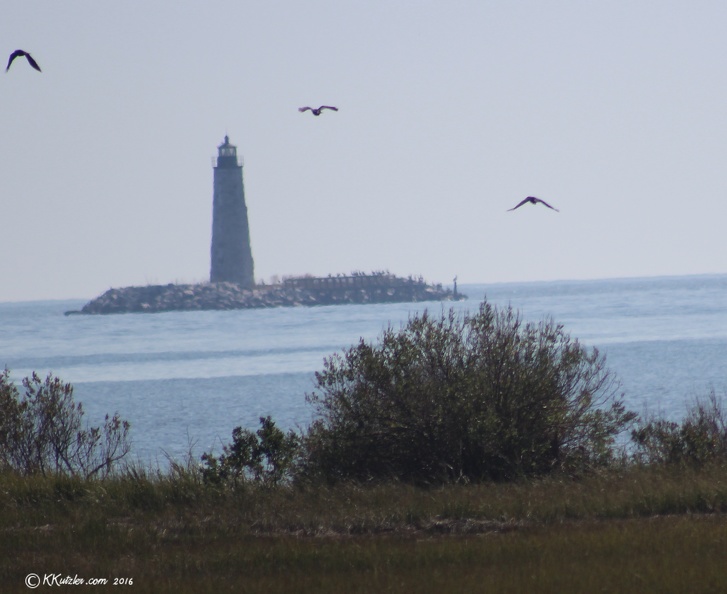 New Point Comfort Lighthouse it is a distance off shore and it was a hazy day
October 19 2016 20161019_1494_1.jpg