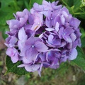 20180712_7676.JPG