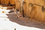 San Diego Zoo