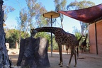 San Diego Zoo