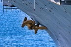 USS Midway Museum