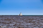 Manitowoc Breakwater Lighthouse