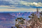 Grand Canyon National Park