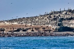 Ano Neuvo State Park